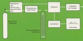 Gas-Chromatograph